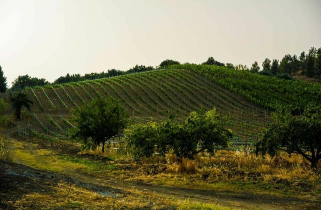 Agriturismo Feudo Tudia Landro Eksteriør bilde